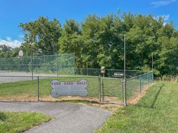 Dog park
